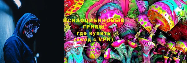 гашик Беломорск