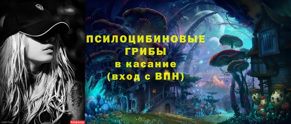 гашик Беломорск