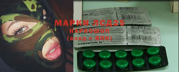 прущие грибы Струнино