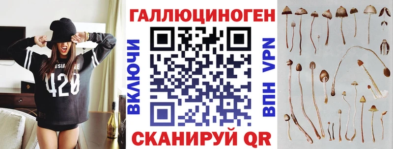 darknet состав  Володарск  Галлюциногенные грибы Psilocybe 