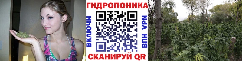 где купить наркоту Володарск Каннабис марихуана
